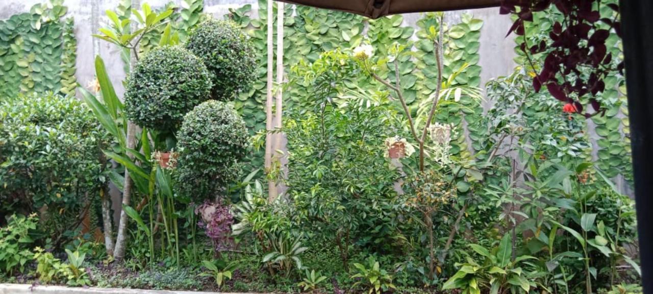 Coliving Bali Sweet Home Kost Lengkap Di Tabanan Kota Exterior foto