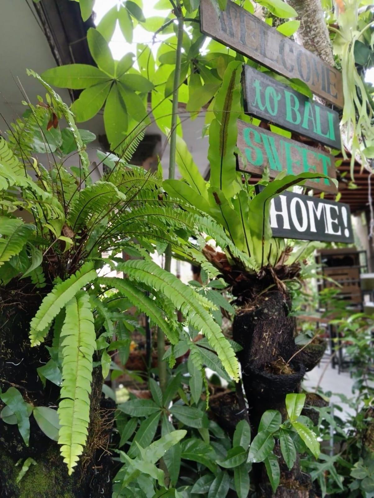Coliving Bali Sweet Home Kost Lengkap Di Tabanan Kota Exterior foto
